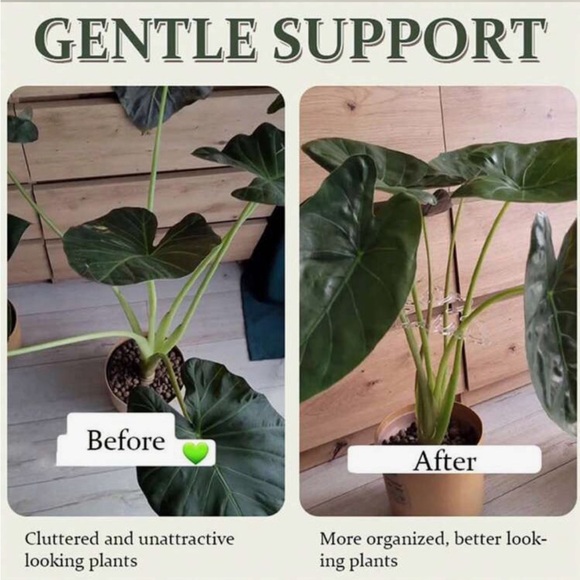 Transparent Plastic Plant Stem Support Clips For Indoor & Outdoor Plants - Picture 2 of 7